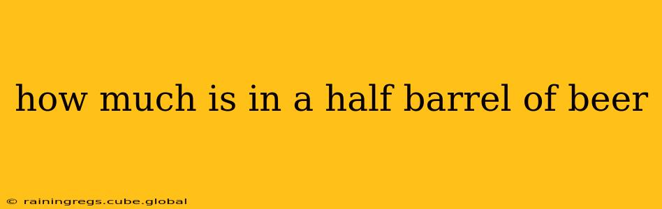how much is in a half barrel of beer