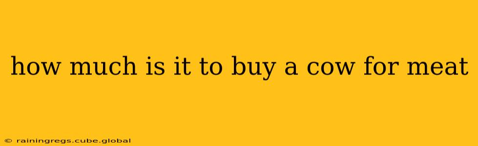 how much is it to buy a cow for meat