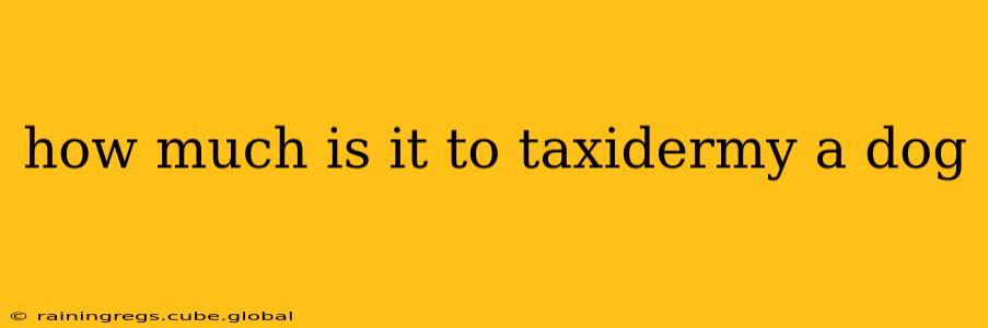 how much is it to taxidermy a dog