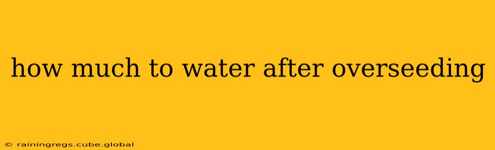 how much to water after overseeding