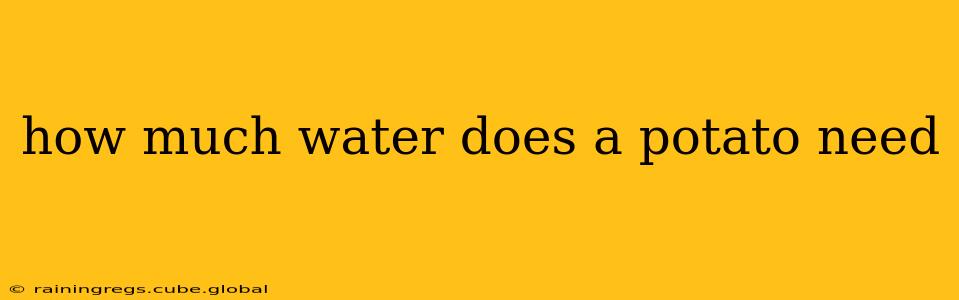 how much water does a potato need