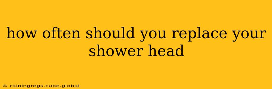 how often should you replace your shower head