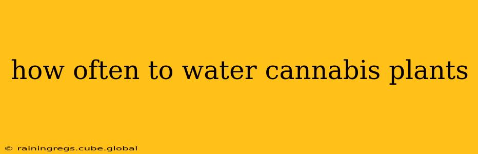 how often to water cannabis plants