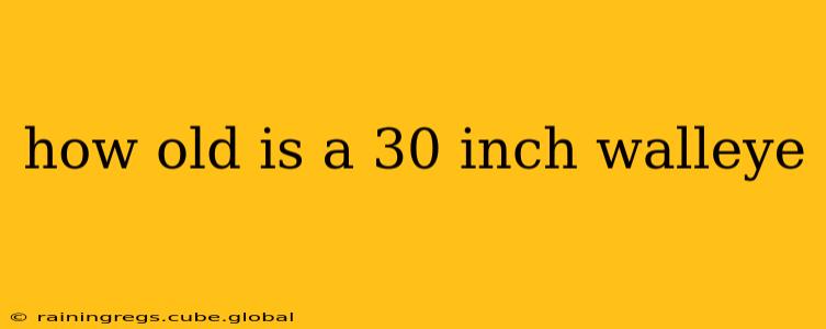 how old is a 30 inch walleye