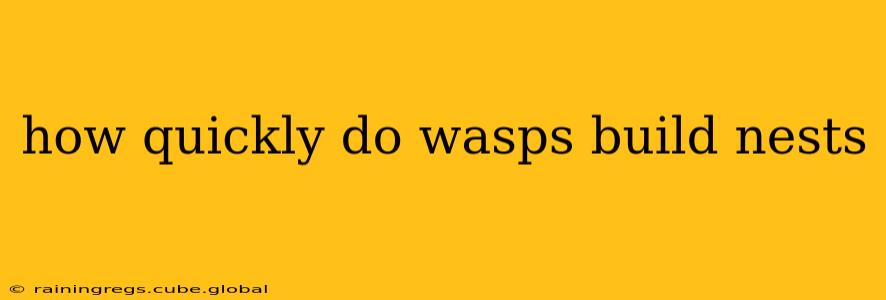 how quickly do wasps build nests