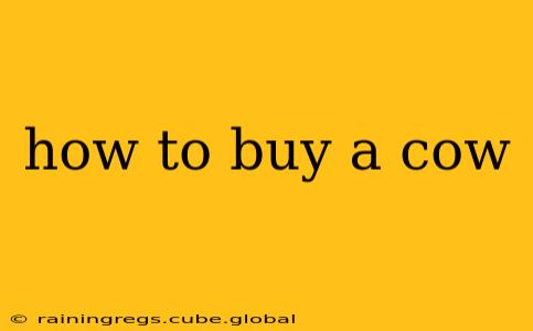 how to buy a cow