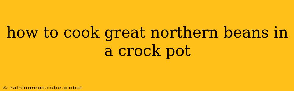 how to cook great northern beans in a crock pot