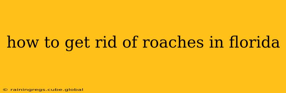 how to get rid of roaches in florida