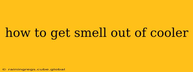 how to get smell out of cooler
