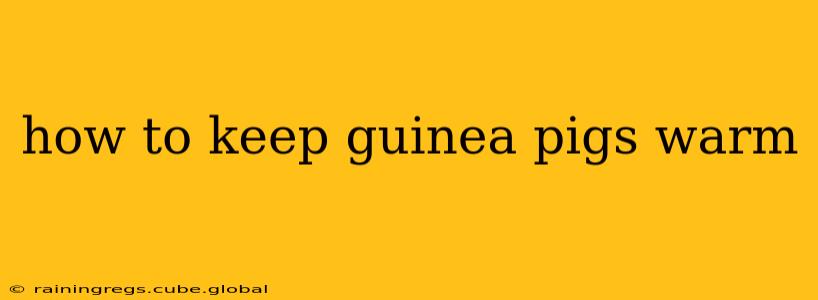 how to keep guinea pigs warm