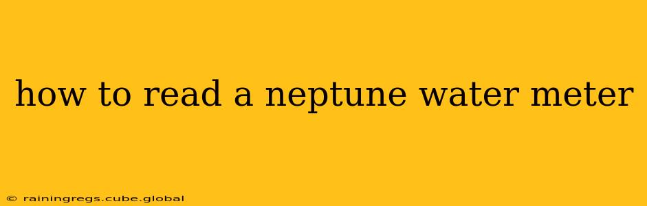 how to read a neptune water meter
