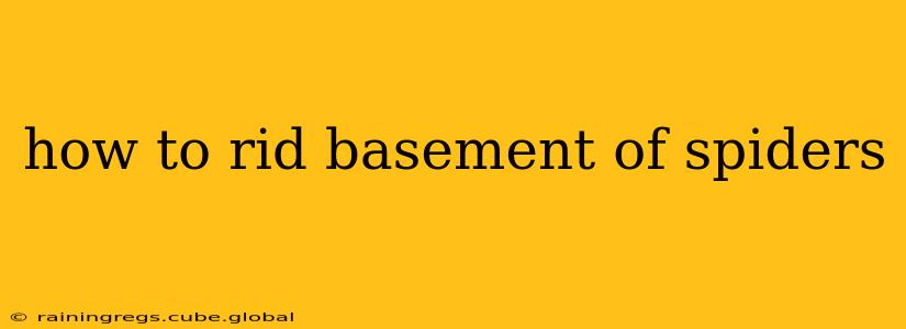 how to rid basement of spiders