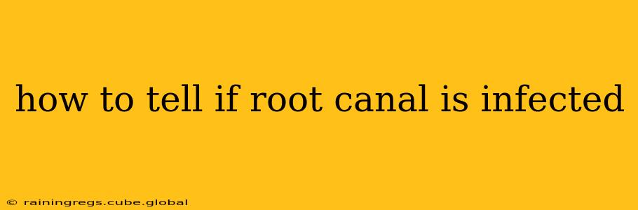 how to tell if root canal is infected