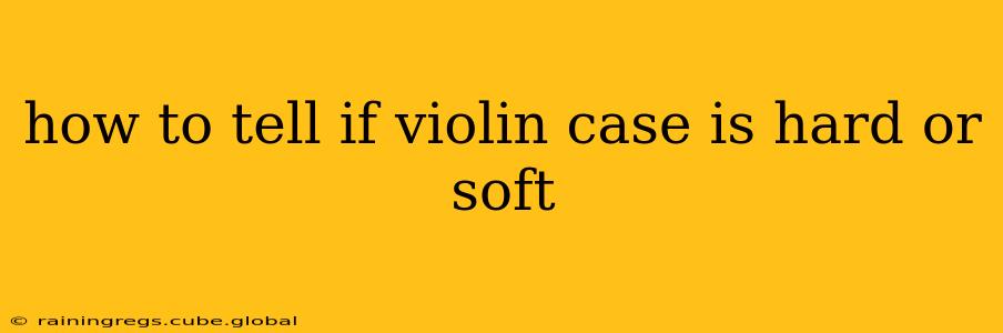 how to tell if violin case is hard or soft