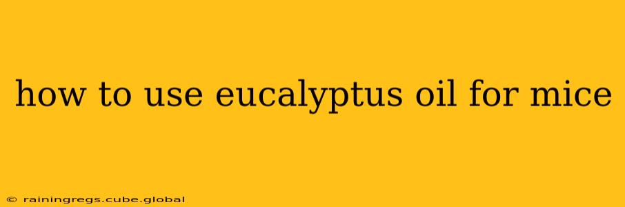how to use eucalyptus oil for mice