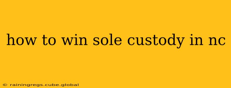 how to win sole custody in nc