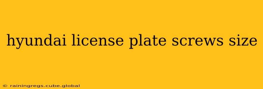 hyundai license plate screws size