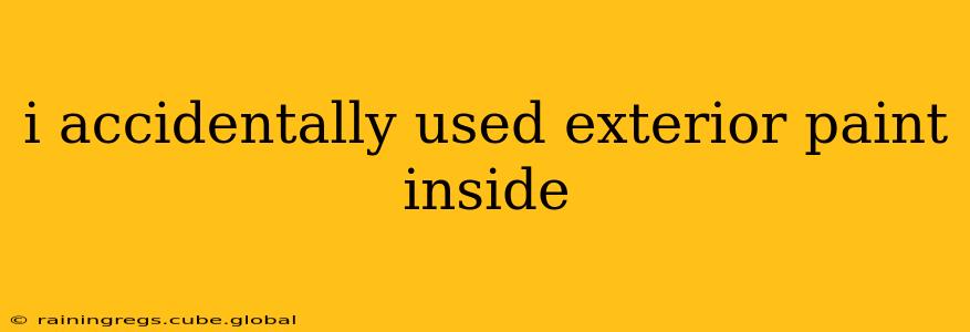 i accidentally used exterior paint inside