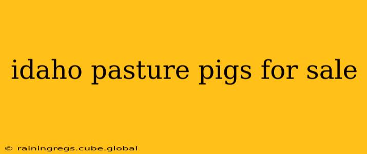 idaho pasture pigs for sale