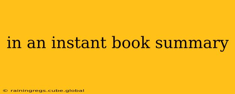 in an instant book summary