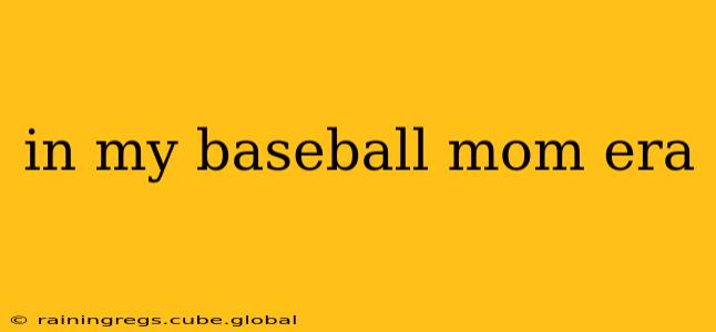 in my baseball mom era
