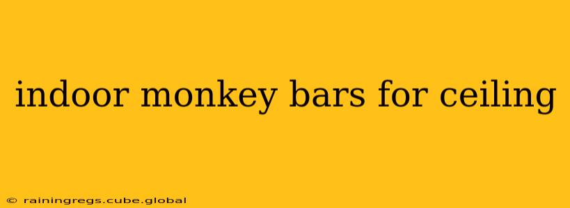 indoor monkey bars for ceiling