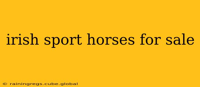 irish sport horses for sale