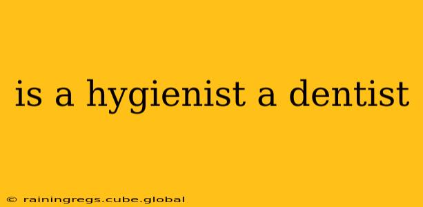 is a hygienist a dentist