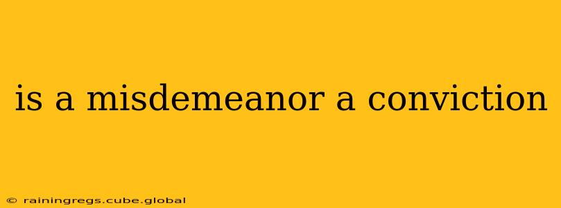 is a misdemeanor a conviction