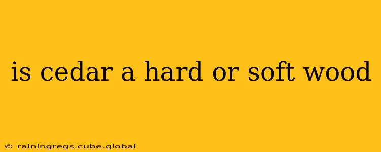 is cedar a hard or soft wood