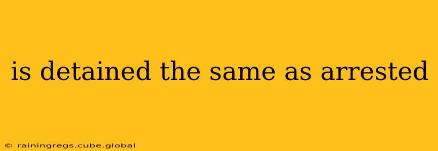 is detained the same as arrested