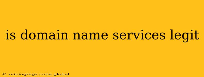 is domain name services legit