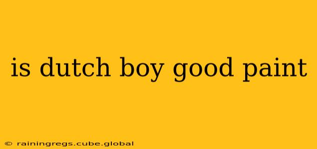 is dutch boy good paint