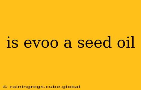 is evoo a seed oil