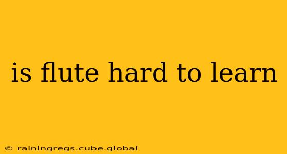 is flute hard to learn