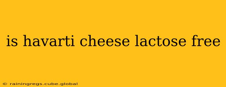 is havarti cheese lactose free