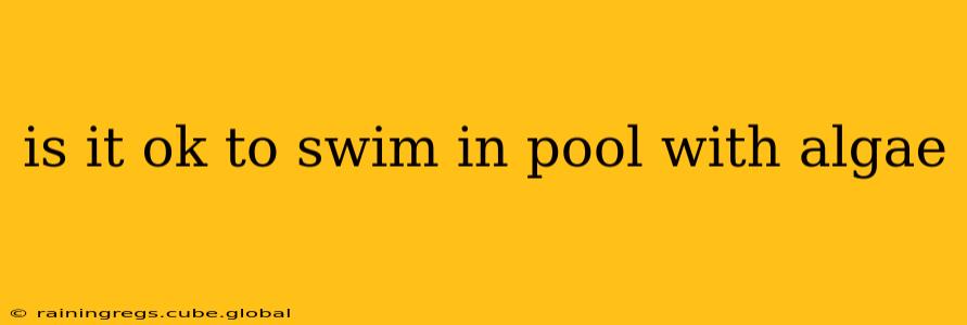 is it ok to swim in pool with algae