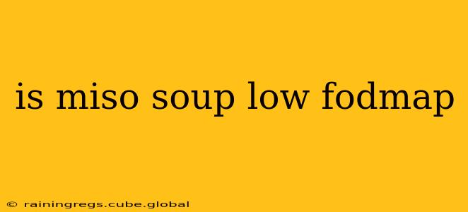 is miso soup low fodmap