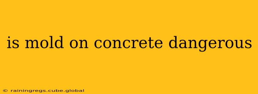 is mold on concrete dangerous