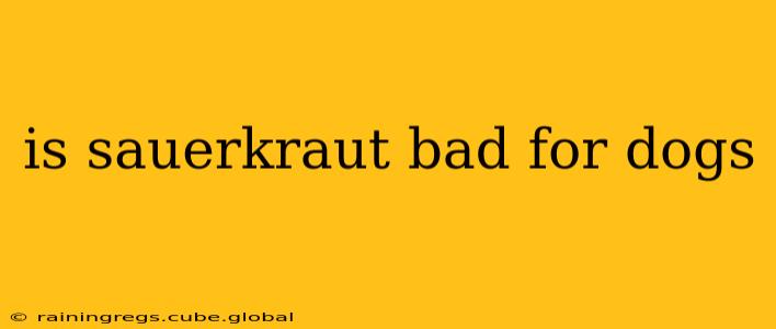 is sauerkraut bad for dogs