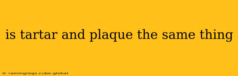 is tartar and plaque the same thing