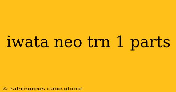 iwata neo trn 1 parts