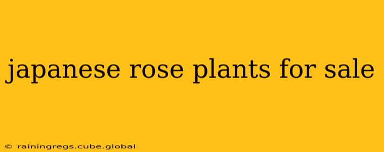 japanese rose plants for sale