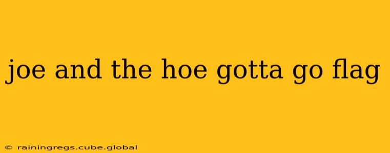joe and the hoe gotta go flag