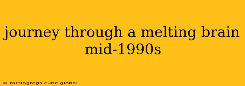 journey through a melting brain mid-1990s