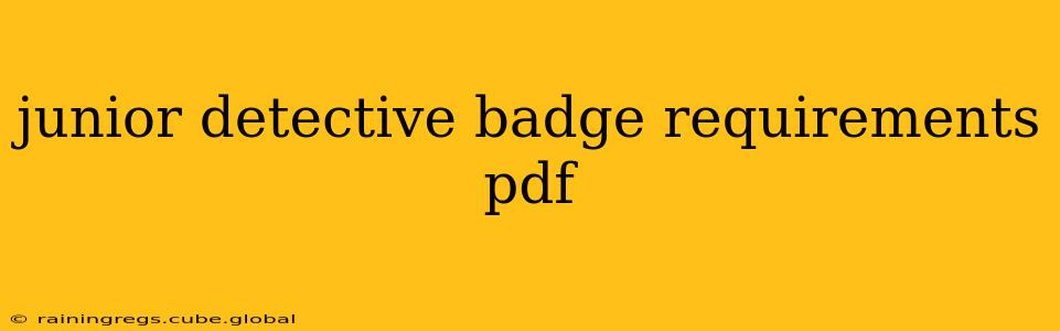 junior detective badge requirements pdf
