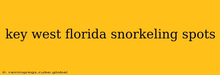 key west florida snorkeling spots