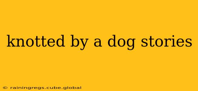 knotted by a dog stories