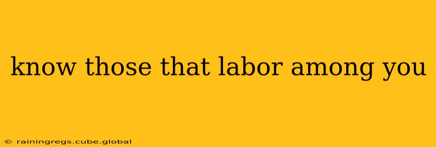 know those that labor among you
