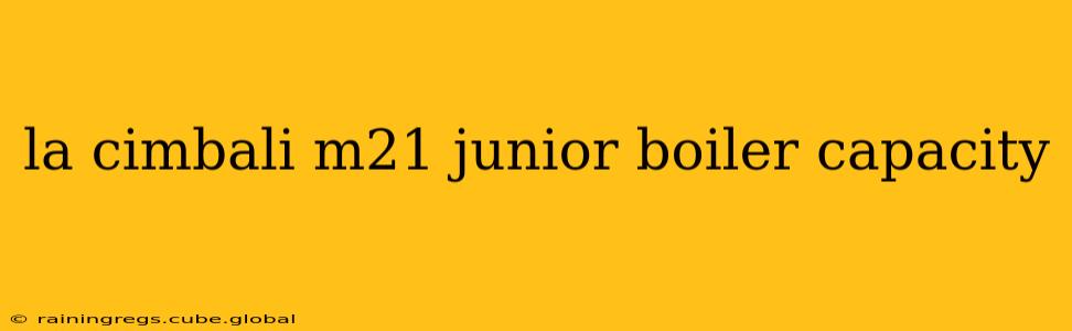 la cimbali m21 junior boiler capacity
